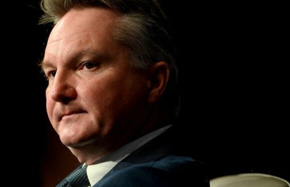 Labor’s energy plan could go beyond price cap in ‘declaration of war’ on the industry