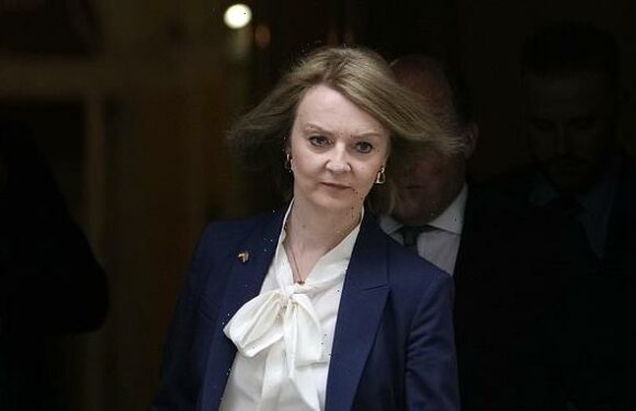Liz Truss WILL stand again as an MP amid fears of Tory exodus