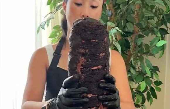 Loving mum bakes a birthday cake for her daughter – but mortified people are all saying the same thing | The Sun