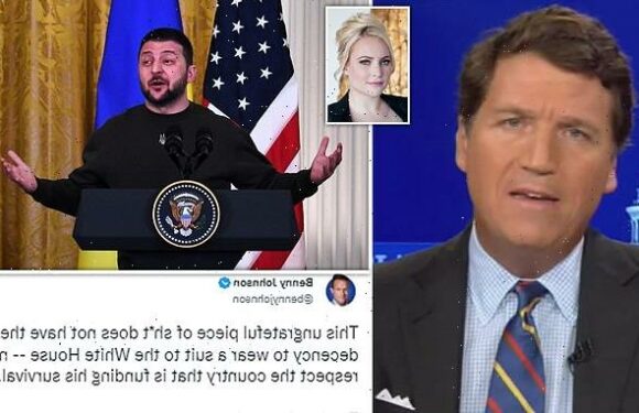 MEGHAN MCCAIN: Cynical critics insult Zelenky's 'strip club' clothes