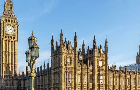 MPs and peers 'asked for brothel' and 'hired sex worker' on trips