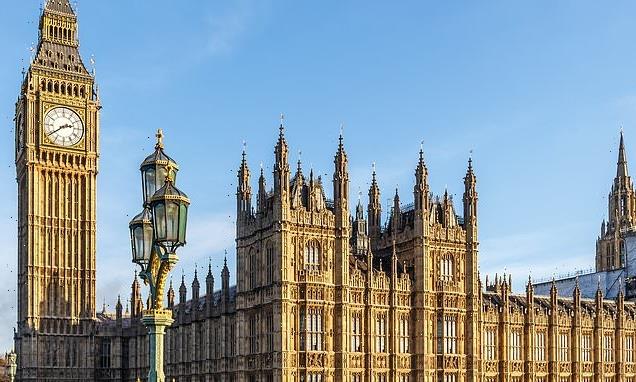 MPs and peers 'asked for brothel' and 'hired sex worker' on trips