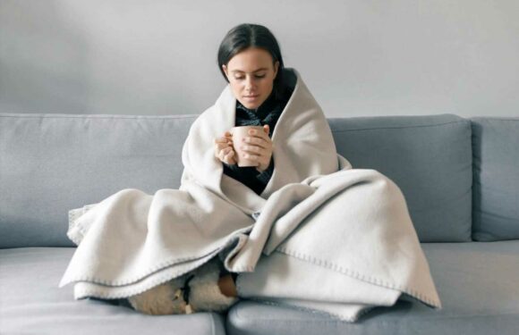 Major energy supplier giving away free electric blankets and smart thermostats this winter – how to get one | The Sun
