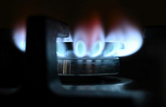 Major energy supplier joins scheme to pay customers up to £100 to reduce energy | The Sun