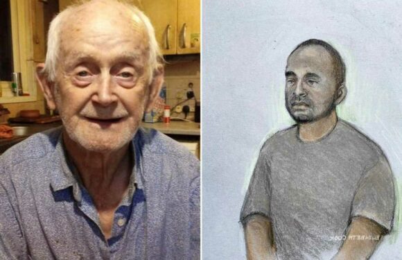 Man denies fatally stabbing Thomas O'Halloran as OAP, 87, rode his mobility scooter | The Sun