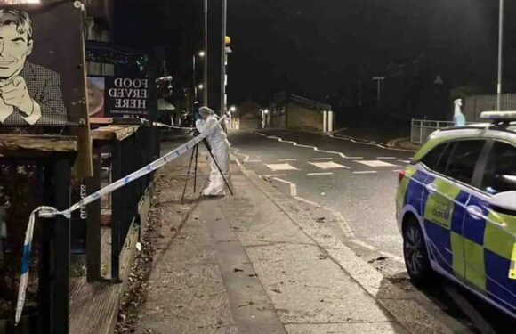 Man killed inside busy pub in front of horrified Christmas drinkers before police hunt down 44-year-old suspect | The Sun