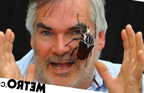 Man opens bug zoo over 20 years after he told wife he'd 'keep a few in the shed'