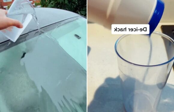 Man praised for sharing new de-icing hack – and all you need is a 5p household ingredient | The Sun