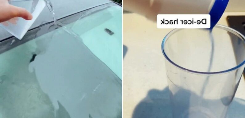 Man praised for sharing new de-icing hack – and all you need is a 5p household ingredient | The Sun