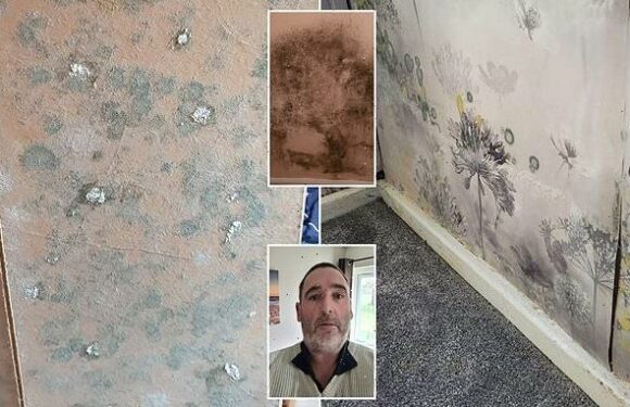 Man rehoused over 'mushrooms' was moved to 'damp & mould' riddled flat