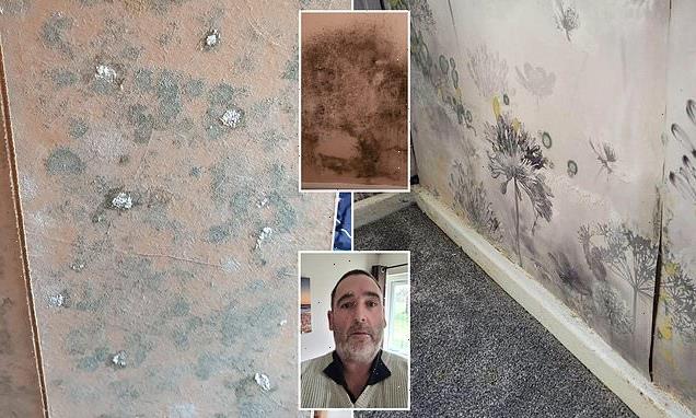 Man rehoused over 'mushrooms' was moved to 'damp & mould' riddled flat