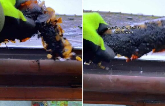 Man shares clever way you can clean your gutters quickly and explains why now is the perfect time to do it | The Sun