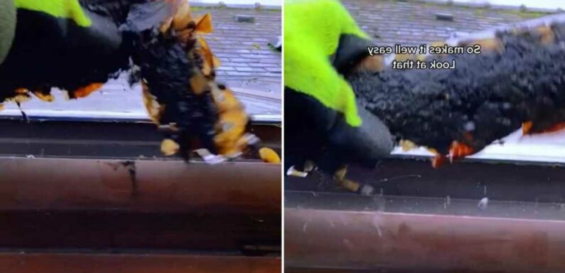 Man shares clever way you can clean your gutters quickly and explains why now is the perfect time to do it | The Sun
