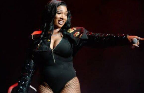 Megan Thee Stallion’s Bodyguard Reportedly Missing Ahead of Appearance at Tory Lanez Shooting Trial