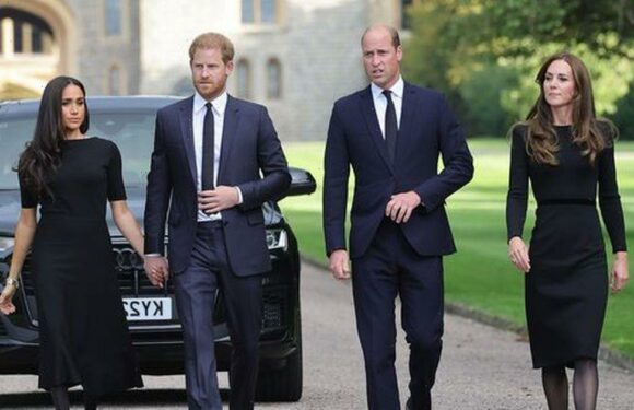 Meghan suggests it’s ‘so obvious’ William was involved in aide’s leaked messages