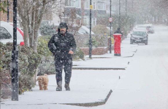 Met Office reveals it WILL be a white Christmas Day in official forecast – find out if your area will be affected | The Sun