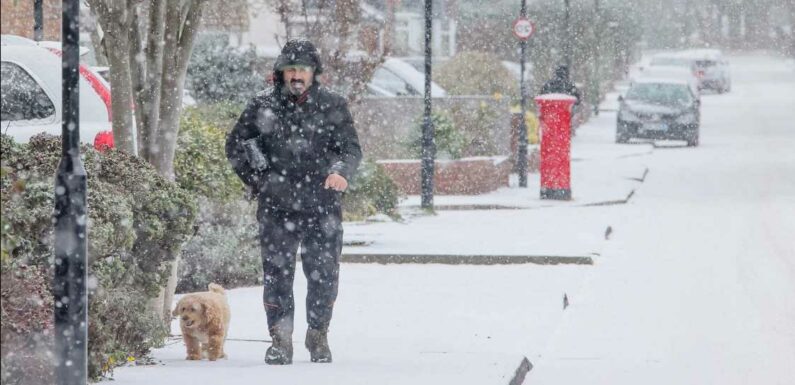 Met Office reveals it WILL be a white Christmas Day in official forecast – find out if your area will be affected | The Sun