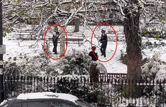 Met Police officers reported for having a snowball fight