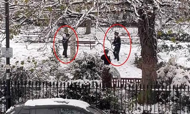Met Police officers reported for having a snowball fight