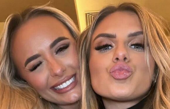 Millie Court and Chloe Burrows show off girly Christmas tree after moving in together