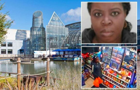 Missing mum’s body found in lake at Bluewater shopping centre a month after she vanished as cops issue tragic update | The Sun