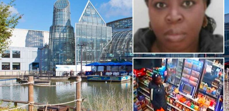 Missing mum’s body found in lake at Bluewater shopping centre a month after she vanished as cops issue tragic update | The Sun