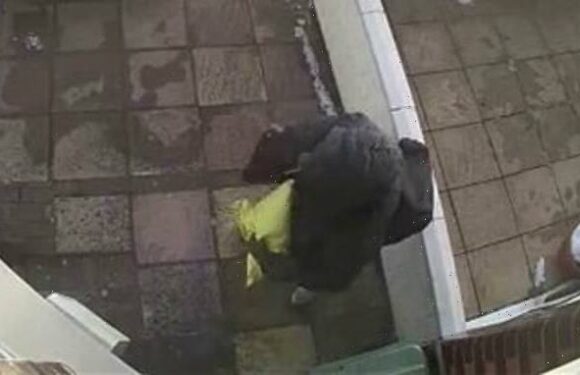 Moment Christmas Grinch is caught on CCTV stealing package