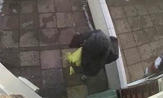Moment Christmas Grinch is caught on CCTV stealing package