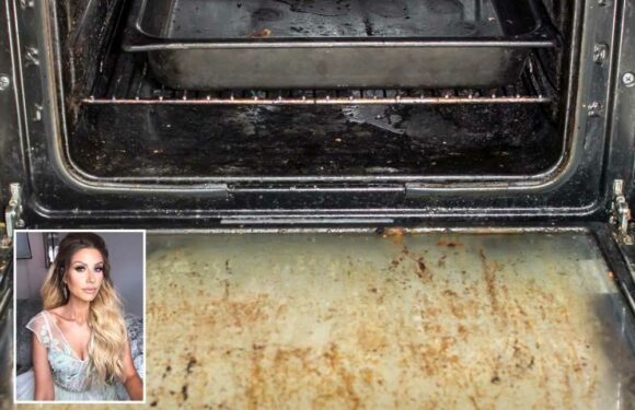 Mrs Hinch fans reveal the 7p way to clean your grubby oven just in time for Christmas | The Sun
