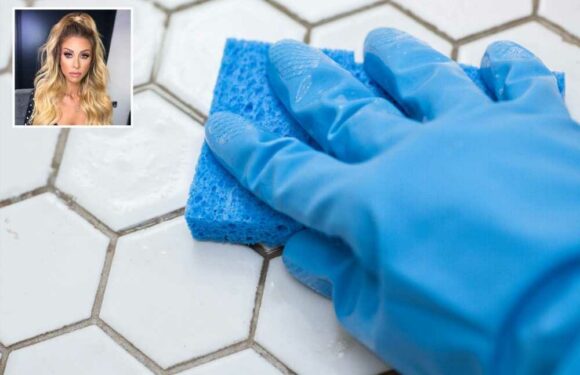 Mrs Hinch fans swear by DIY hack to remove tile grout and kill mould and there’s no faff involved | The Sun