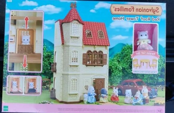 Mum bags massive Sylvanian Families' house for a tenth of the usual price and parents can't believe the whopping deal | The Sun