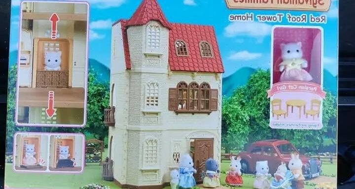 Mum bags massive Sylvanian Families' house for a tenth of the usual price and parents can't believe the whopping deal | The Sun