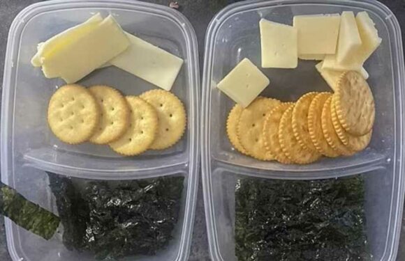 Mum slammed after innocently sharing a picture of the lunches she'd made her kids – with everyone saying the same thing | The Sun