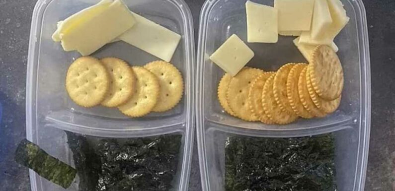 Mum slammed after innocently sharing a picture of the lunches she'd made her kids – with everyone saying the same thing | The Sun