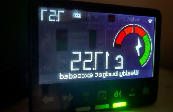 Mum wont use her oven after frightening energy bill
