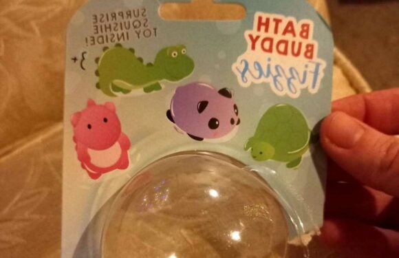 Mum’s warning after she discovers cute Home Bargains stocking filler contains something very dangerous | The Sun
