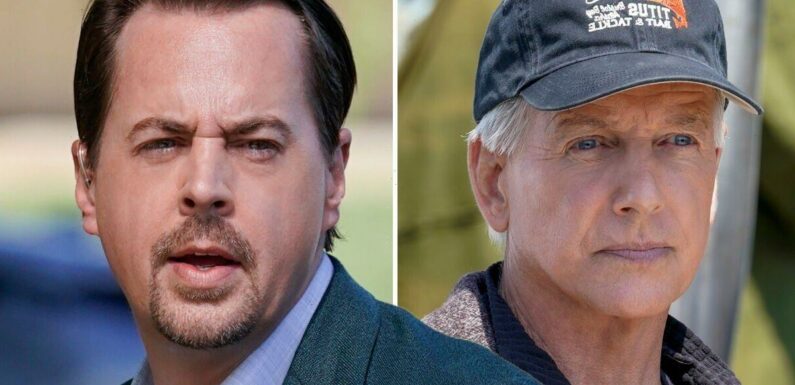 NCIS fans call for Gibbs return after nod to former boss by McGee