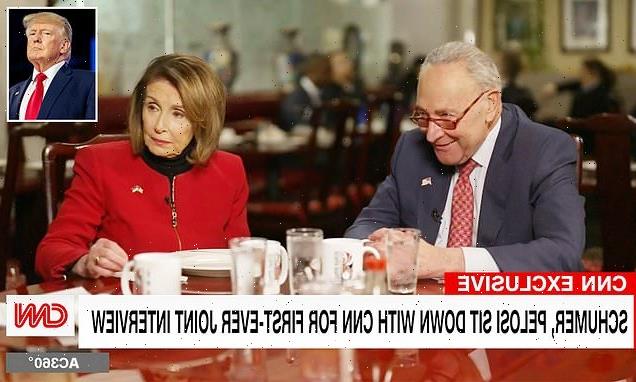 Nancy Pelosi and Chuck Schumer laugh about treating Trump like a child