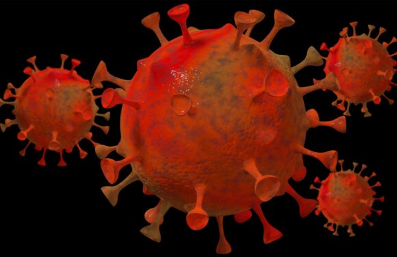 New Covid variant 'running rife' in UK will spark surge in cases as flu explodes | The Sun