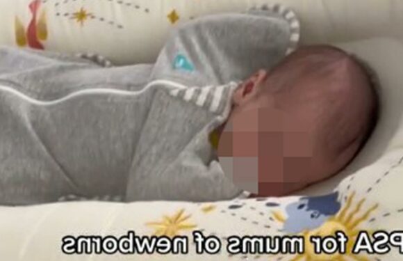 New mum shares hack to make sure your baby always sleeps well even when you’ve got noisy jobs to do around the house | The Sun