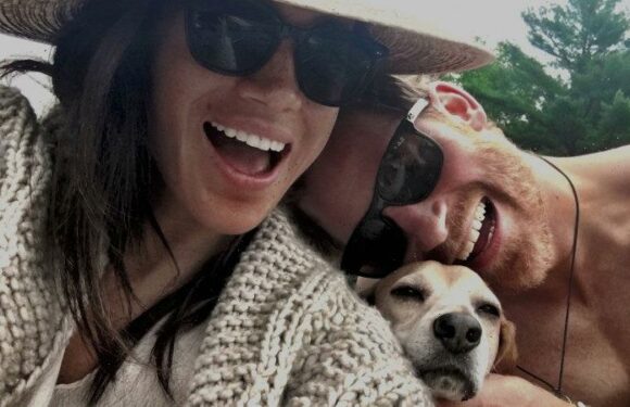 Palace braces for rehash of Megxit drama as second half of Netflix series looms