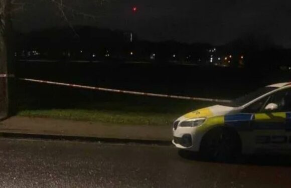 Peckham Rye stabbing: Man, 29, knifed to death in South London park as police launch urgent manhunt | The Sun