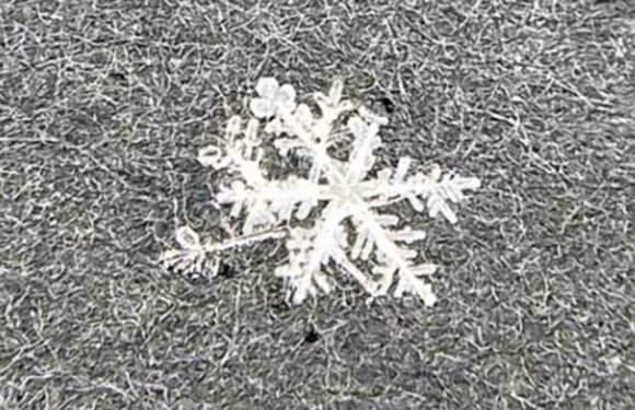 People are just realising what snowflakes look like – and they say they're 'in tears' at their 'magical beauty' | The Sun
