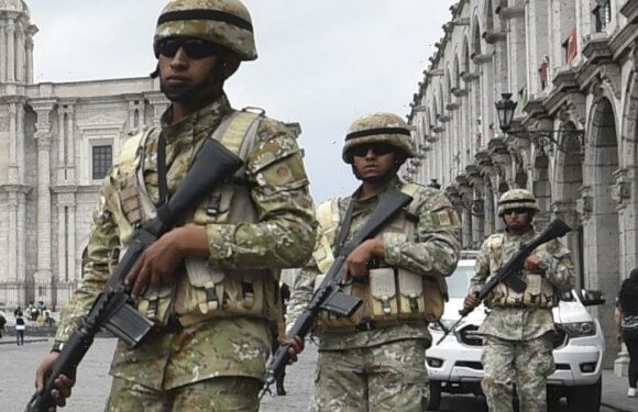 Peru’s new government suspends right to freedom to quell protests