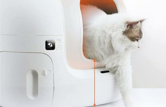 Pet Parents Say This Self-cleaning Litter Box Has ‘Saved a Lot of Time & Headache’ — & It’s on Sale