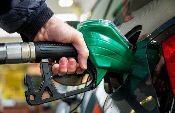 Petrol prices plunge 30p per litre from record high in July – how to fill up for less | The Sun