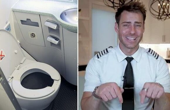 Pilot reveals what REALLY happens on plane after you flush the toilet