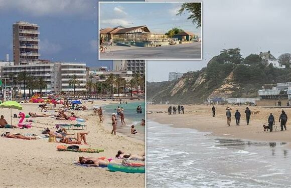 Plans for 'Magaluf-style' beach club in Sandbanks gets the green light