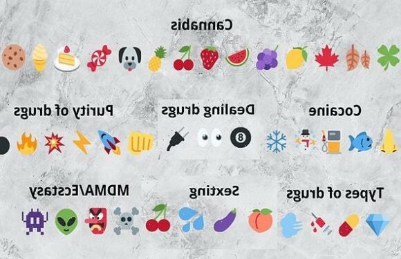 Police publish 'secret world of emojis' to warn parents