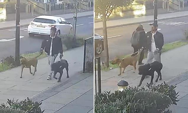 Police release CCTV in hunt for owner of two dogs that mauled girl